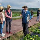 이종태농장 | [FOCUS 경기] '한방의료관광 메카' 꿈꾸는 파주시