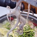 윤희네뻘낙지전문점 | 생생정보 무안 낙지 위치 식당 코스 요리 낙지거리 윤희네 뻘낙지 전문점 무안낙지골목