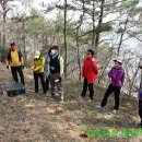 용남해안길 이미지