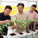 진흥2농장 이미지