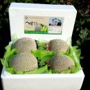 가오농장 이미지