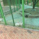 맑음터공원-B | 오산 맑음터공원 토끼 먹이주기 아이랑 갈만한곳