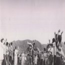 팔도강산 이미지