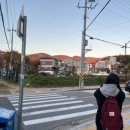 사과같은 내 얼굴