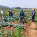 본량농협 이미지