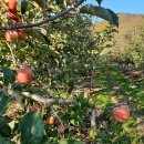 귀촌펜션 이미지