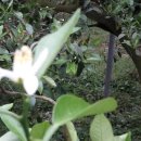 승광농장 이미지