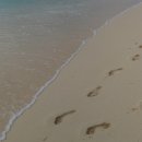 을왕리펜션 자니노니 이미지