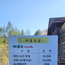 [26.5.1.~3.] 23개월 아기랑 평창 여행④🐰 알펜시아 ‘토끼의 숲’ 내돈내산 솔직 후기