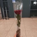 FLOPORT