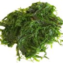 문 휘트니스 이미지