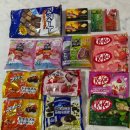 2023-0084 | 오사카 돈키호테 난바 도톤보리점 후기 | 위치•추천템•면세•할인쿠폰 총정리