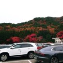 금강모치 화장실 이미지