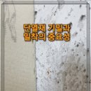 원광인테리어 - 강서구 등촌로5가길 36 | 원광인테리어