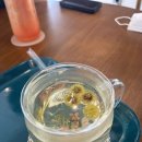 하루(Haru) 이미지