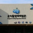 교래생태체험장 이미지