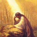 송기2천 이미지