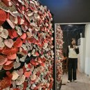 투썸플레이스대전중구청역점