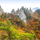 동해민박 이미지