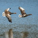 와인과 세계문화 이미지