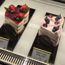 6996 | [카페] 대구 달성 화원 카페 추천 | 스테이블모먼트 화원점 솔직 후기 + 입구 찾는 팁💡