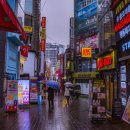 동경고시텔 | 6년 만의 수학여행, 이런 여행은 처음이야