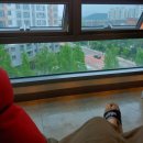 (주)달콤한고래들