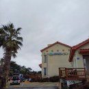 바다 위 언덕 | 제주 - 제주도 펜션, 제주도 펜션 예약, 서귀포 펜션, 서귀포 펜션 추천 바다위언덕 솔직후기입니다!