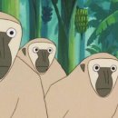 (주)휴먼퍼스트 이미지