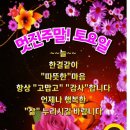 가려움증 이미지