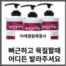 임실엉겅퀴