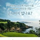 포인트골프 이미지