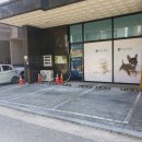 플레이독 남양주점 이미지