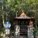 제주토끼 | 제주 산양큰엉곶 달구지코스 후기 | 토끼체험, 포토스팟, 제주투어패스 정리