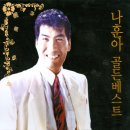 정든