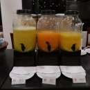 티에라 비바 이미지