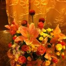 들꽃마을 이미지