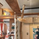 펫 게스트하우스 이미지