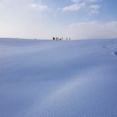 춘자목장 | 제주한달살기:) DAY6 신풍목장 신천목장 춘자멸치국수 희신이네 후기