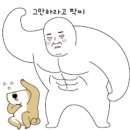 D00963 | 뉴트리션 유산균/ 내추럴팩터스 유산균/ 닥터스베스트 마그네슘/ 솔가 비타민D,엽산/ 허니스Honees 캔디)