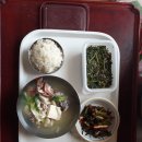 공양 Daum카페