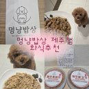 멍냥멍냥 | [반려동물] 강아지 화식 추천 제주멍냥밥상 화식 급여 후기