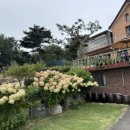 늘푸른 호숫가 펜션 이미지