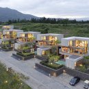 데일리앤스파 이미지