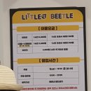 리틀비틀 이미지