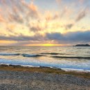 정글펜션 이미지