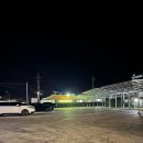 돈사돈 | [제주] 제주 동쪽 흑돼지 맛집 돈사돈 월정리점 후기