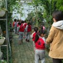 해피차일드어린이집 이미지