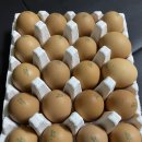 경식농장 이미지