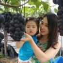 소라농장 이미지